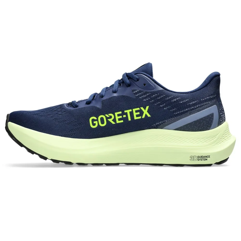 Asics Men's GT 2000 12 GORE-TEX