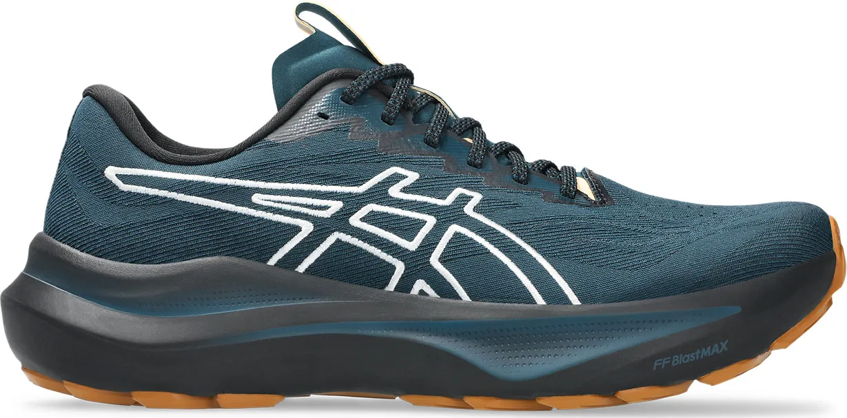 Asics Men's GT-2000 14 TR
