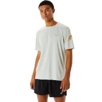 Asics Men's Icon Short Sleeve Top Asics Men's Icon Short Sleeve Top