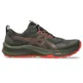 Asics Men's Trabuco Terra 3
