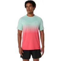 Asics Sömlös T-shirt Med Korta ärmar male