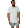 Light Celadon/Birch