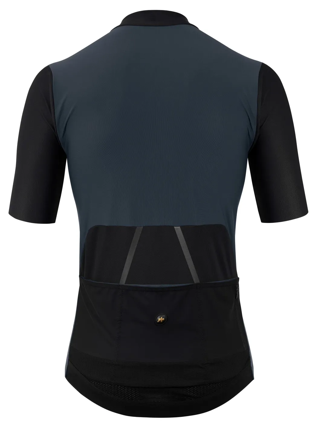 ASSOS Mille GTO C2 Tröja ASSOS Mille GTO C2 Tröja