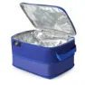 Atlet Mjuk Bärbar Kylväska Med Matlåda, Blue, One Size