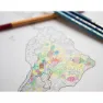 Awesome Maps Coloring Karta, One size