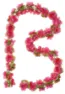 Basil blomsterkrans 130, Rosa