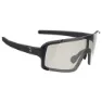 BBB Chester Foto Kromatiska Solglasögon, Glossy black, Smoke/CAT0-3