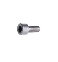 BBG Skruv 5mm insex, rostfri, valfri längd BBG Skruv 5mm insex, rostfri, valfri längd