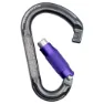 Beal Be Lock Matic Karabinkrok, Matt grey, One Size