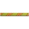 Beal Ice Line Golden Dry 8.1 Mm Rep