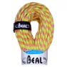 Beal Ice Line Golden Dry 8.1 Mm Rep