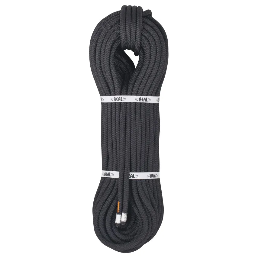 Beal Intervention Ir 11 Mm Rep Beal Intervention Ir 11 Mm Rep