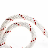Beal Spelenium 10 Mm Rep Beal Spelenium 10 Mm Rep