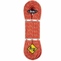 Beal Tiger Golden Dry 10 Mm Rep