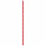 Beal Wall Cruiser 9.6 Mm Rep
