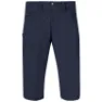 Bergans Men's Vandre Light Softshell Long Shorts
