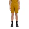 Berghaus Explorer Shorts