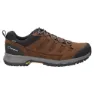 Berghaus Fellmaster Active Tech Vandringsskor, Brown