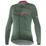 Bamboo green