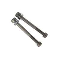 Bikeshop Skruv Insex M6 x 65 mm - 2 st Bikeshop Skruv Insex M6 x 65 mm - 2 st