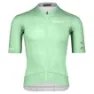 Icy green