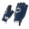Bioracer Ineos Grenadiers Summer Korta Handskar, Ineos grenadiers / navy blue