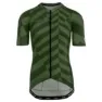 Dazzle Olive