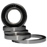 BLACK BEARING Ceramic Lager