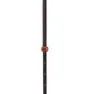 Black Diamond Carbon Whippet Stav 1 Enhet, Gray / black / orange, 100-140cm