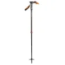 Black Diamond Carbon Whippet Stav 1 Enhet, Gray / black / orange, 100-140cm