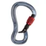Black Diamond Gridlock Screwgate Carabiner, One Size