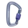 Black Diamond LiteForge Screwgate Carabiner