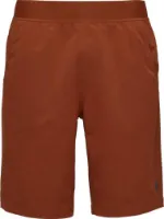 Black Diamond Men's Sierra Shorts Black Diamond Men's Sierra Shorts