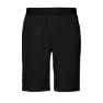Black Diamond Men's Sierra Shorts