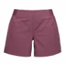 Black Diamond Men's Sierra Shorts