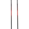 Black Diamond Pursuit Carbon Z Stavar