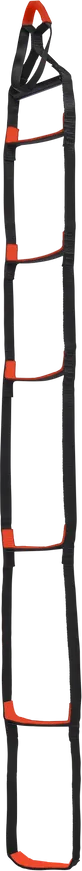 Black Diamond Stepup Ladder