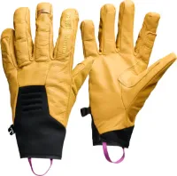 Black Diamond Tour Lt Gloves