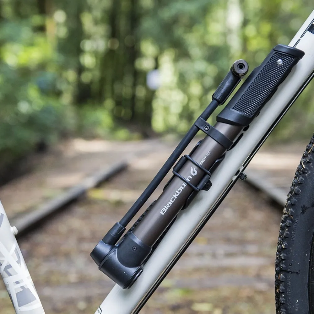 Blackburn Mammoth Flip Minipump