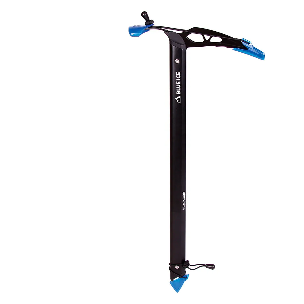 Blue Ice Blackbird Isyxa