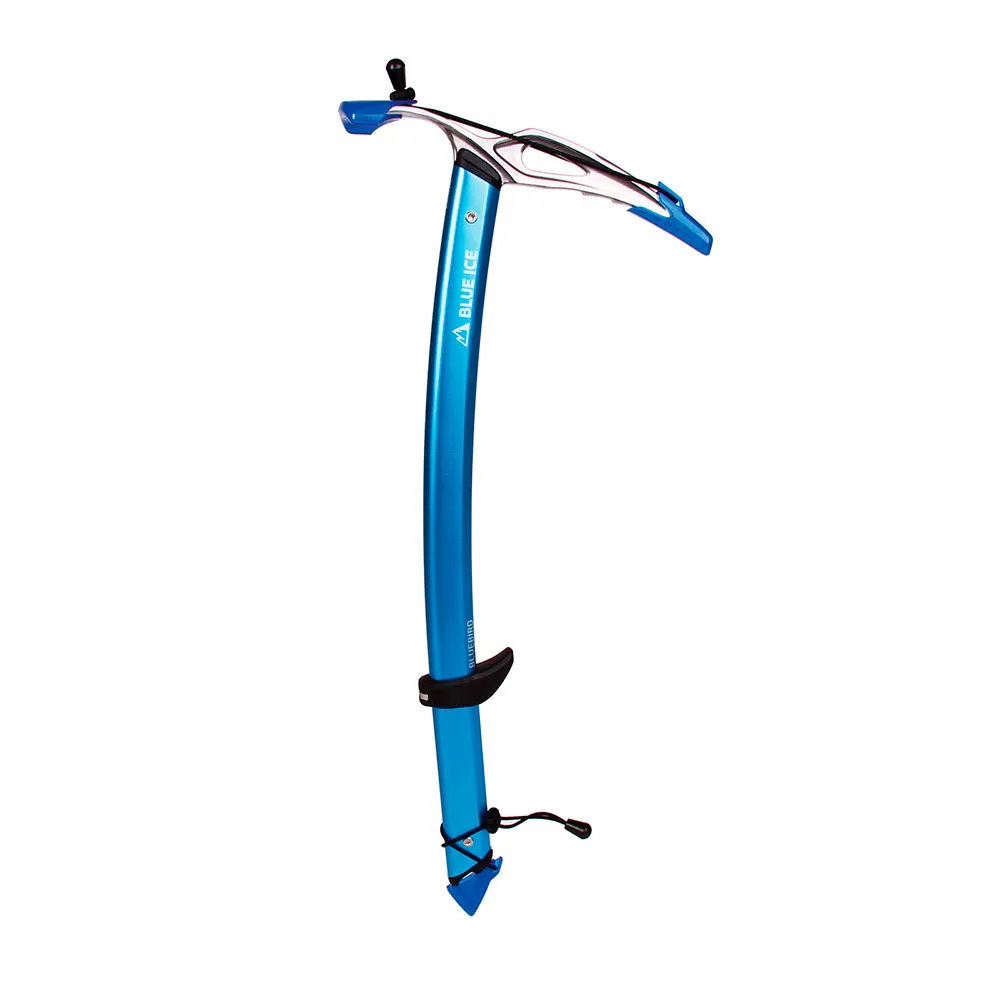 Blue Ice Bluebird Isyxa Blue Ice Bluebird Isyxa