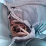 Blue Ice Kume 40l Ryggsäck