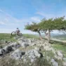 Bollé Adapt Pure Mips Mtb-hjälm