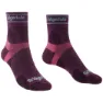 Charcoal / purple