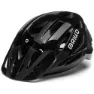 Shiny Black