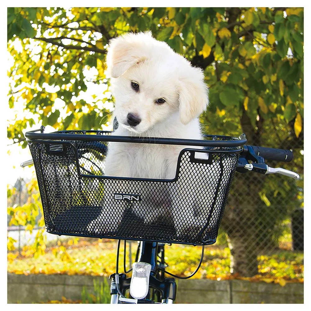 Brn Happy Pet Korg, Black, One Size