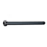 Brn M12xp1.0-b119-t1 Genomgående Axel, Black, 100mm