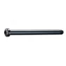 Brn M12xp1.5-b125-t16 Genomgående Axel, Black1, 100mm