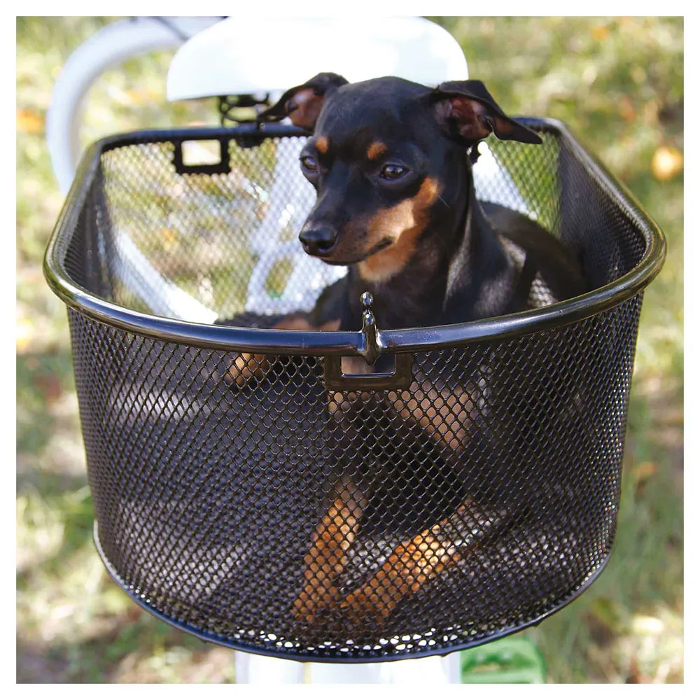Brn Puppy Korg, Black, One Size Brn Puppy Korg, Black, One Size