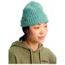 Chestnut brown/blue tl/soft sage